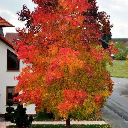 -ferienwohnung Stadtallendorf